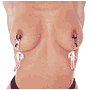 X344 Crystal Pendant Nipple Clamps